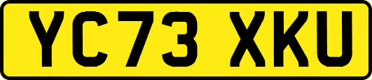 YC73XKU