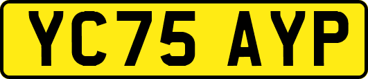 YC75AYP