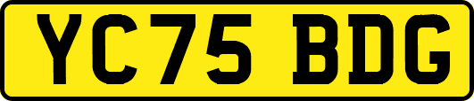 YC75BDG