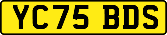YC75BDS