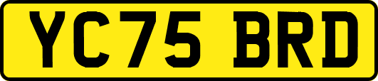 YC75BRD