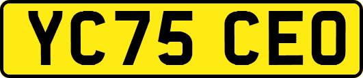 YC75CEO