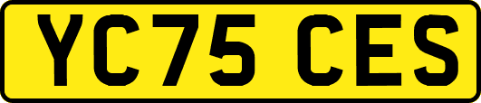 YC75CES
