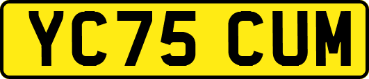 YC75CUM