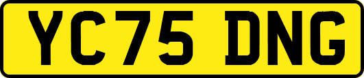 YC75DNG