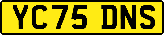 YC75DNS