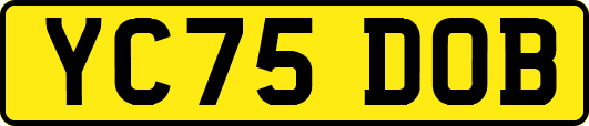 YC75DOB