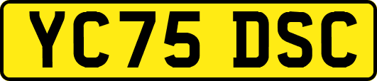 YC75DSC