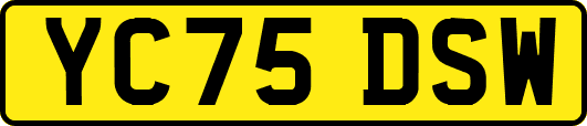 YC75DSW