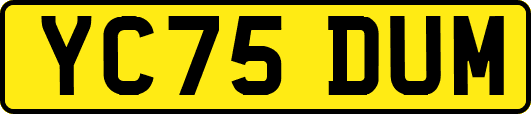 YC75DUM