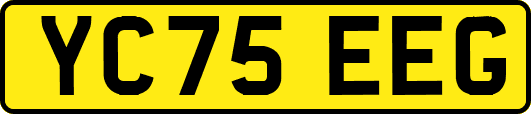 YC75EEG