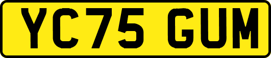 YC75GUM