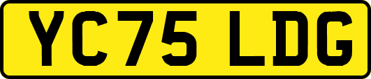 YC75LDG