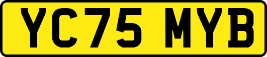 YC75MYB