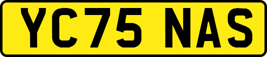 YC75NAS