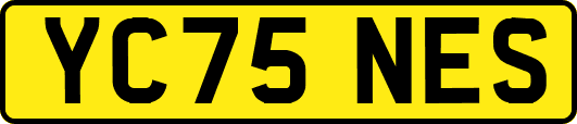 YC75NES