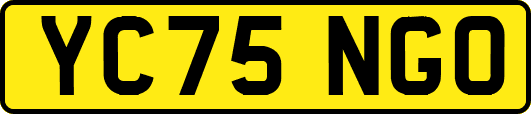 YC75NGO