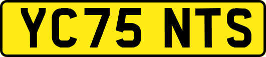 YC75NTS