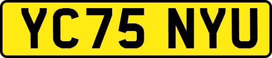 YC75NYU