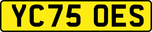YC75OES