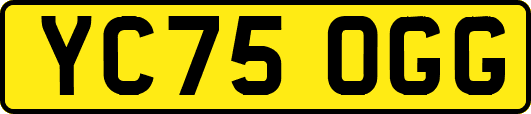 YC75OGG