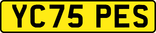 YC75PES