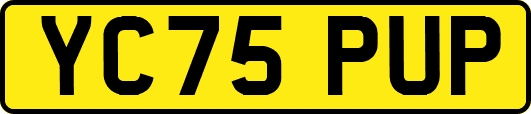 YC75PUP