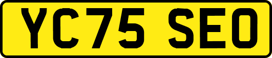 YC75SEO