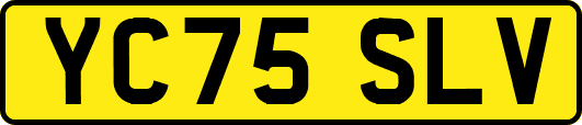 YC75SLV