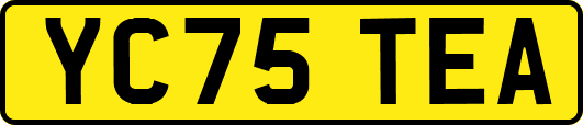 YC75TEA
