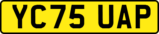 YC75UAP