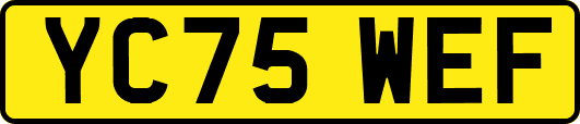 YC75WEF