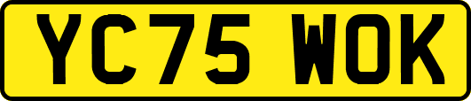 YC75WOK