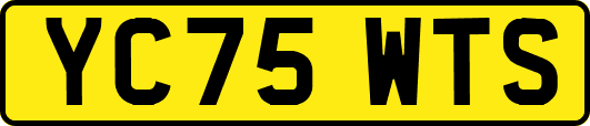YC75WTS