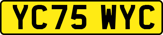 YC75WYC