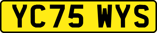 YC75WYS
