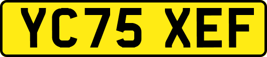 YC75XEF