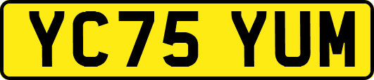 YC75YUM