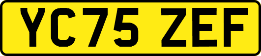 YC75ZEF