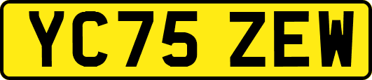 YC75ZEW