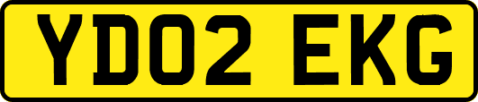 YD02EKG