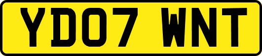 YD07WNT