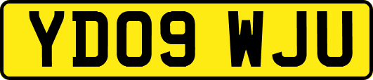 YD09WJU