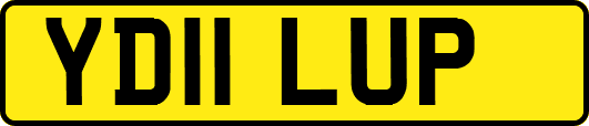 YD11LUP