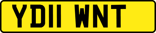 YD11WNT