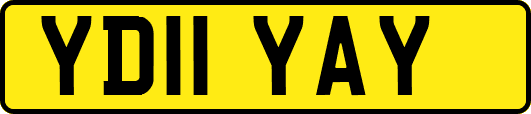 YD11YAY