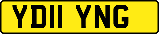 YD11YNG