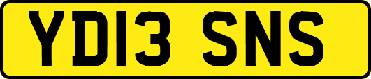 YD13SNS