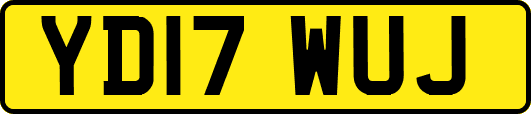 YD17WUJ