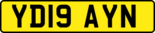 YD19AYN